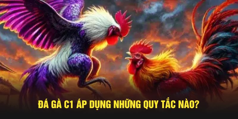 Đá gà C1 áp dụng những quy tắc nào?