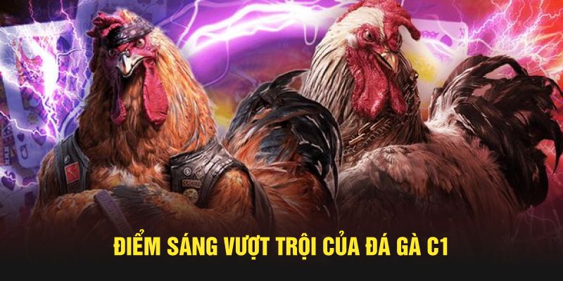 Điểm sáng vượt trội của đá gà C1