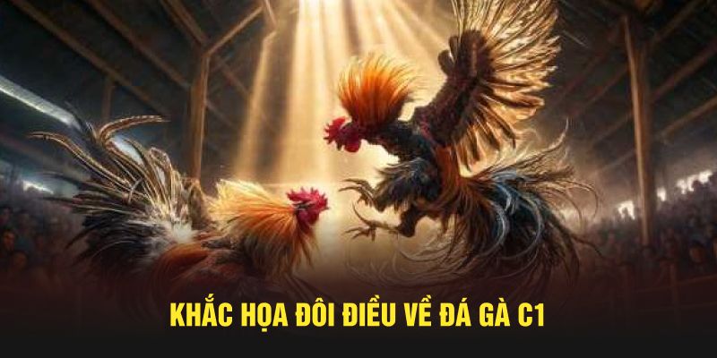 Khắc họa đôi điều về đá gà C1